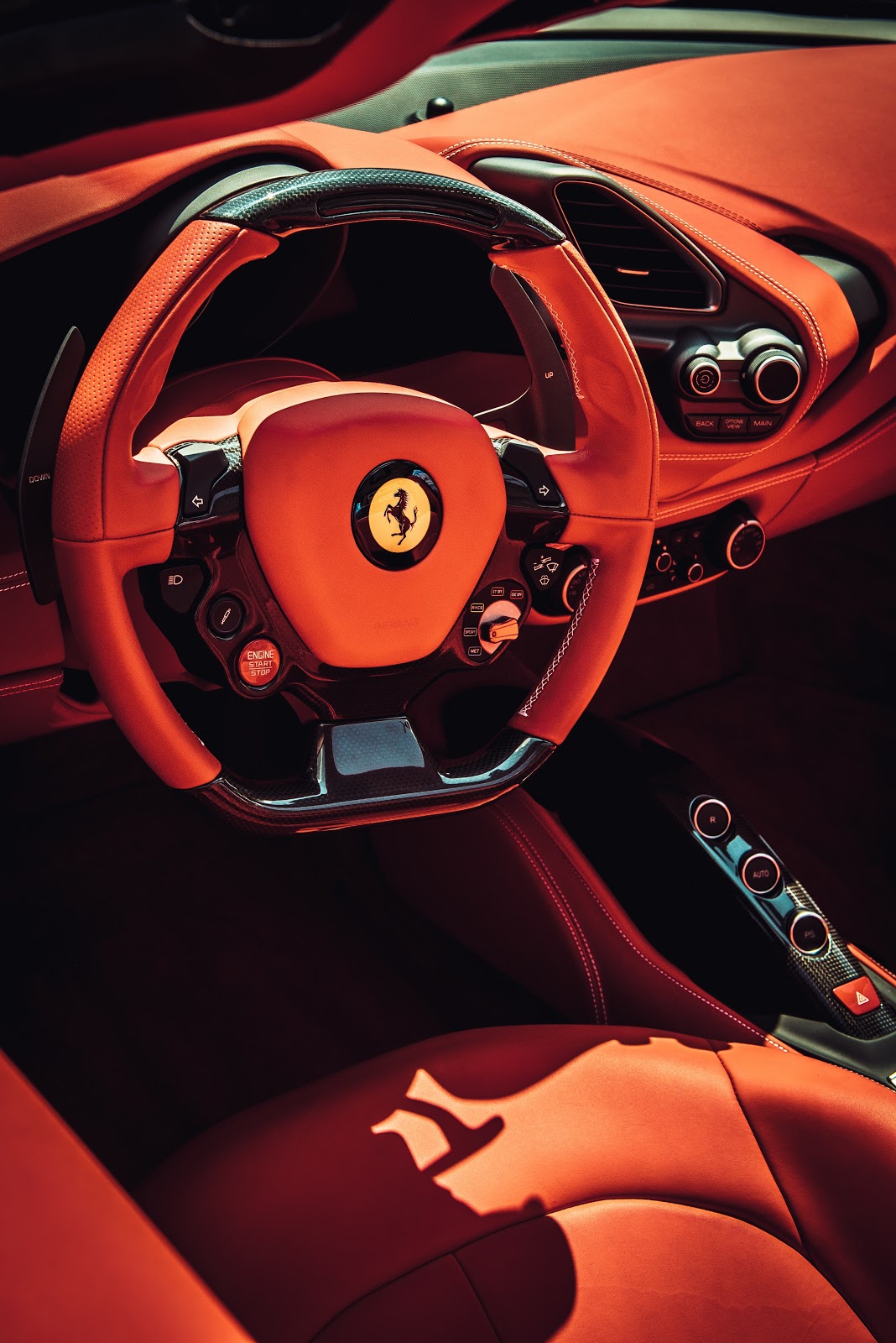Ferrari Interior View